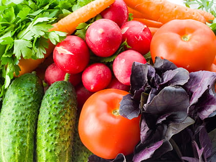Variety of fresh vegetables.